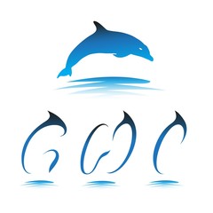 vector font dolphin