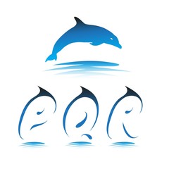 vector font dolphin