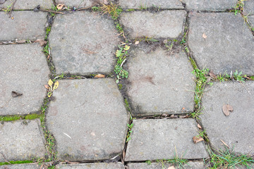 Stone tile surface as background. Garden path made of stone tiles.