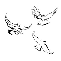 Fototapeta premium dove of peace