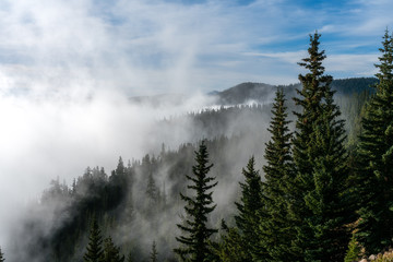 Obraz na płótnie Canvas Foggy Fall Morning in Colorado