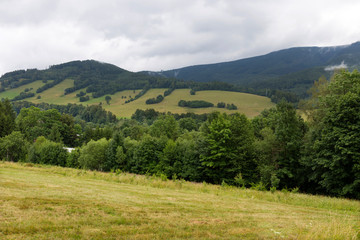 Fototapeta na wymiar Summer Landscape in the Mountain Jesenik, Czech Republic