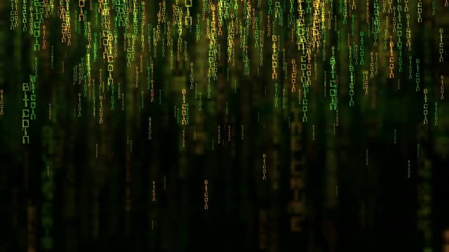 Bitcoin data code matrix style concept