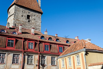 Obraz premium Street in Tallinn Old Town