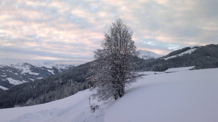 Obraz premium landscape with trees and mountains in winter