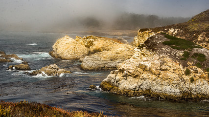 Monterey Peninsula # 4