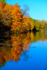 Golden autumn park,Autumn forest lake water landscape, Forest lake in fall, USA