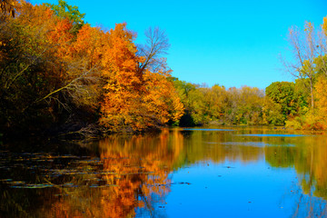 Golden autumn park,Autumn forest lake water landscape, Forest lake in fall, USA