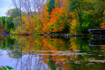 Fototapeta na wymiar Golden autumn park,Autumn forest lake water landscape, Forest lake in fall, USA