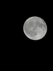 moon in the sky
