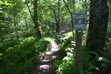 Closed at Sunset Sign