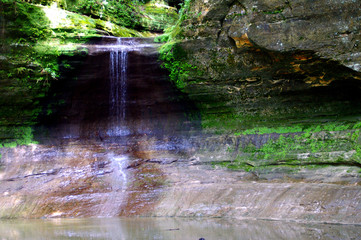 stream in forest