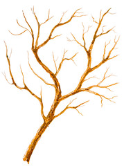 Hand-painted colorful element. Colored autumn tree, decorative, watercolor ornament. For fabric, paper and postcards isolated on white background 