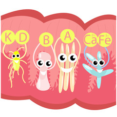 Vector cartoon illustration of probiotics and beneficial bacteria in the intestinal cavity that produce vitamins and trace elements.
