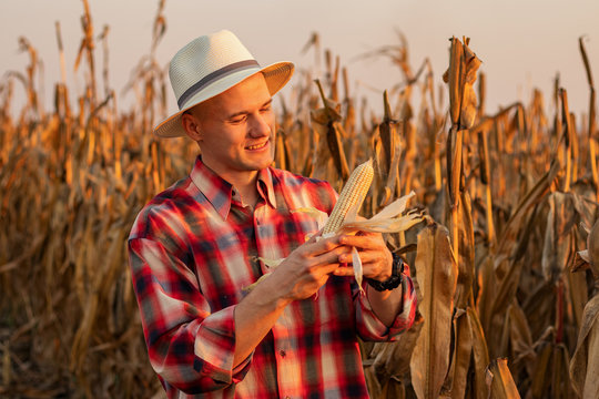 Title	 Portrait of young farmer or agronomist standing in corn field examining crop before harvest at sunset. - Image