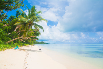 Tropical white beach and blue ocean, Ngaraard state, Palau, Pacific