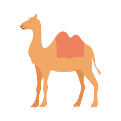cute camel manger animal character