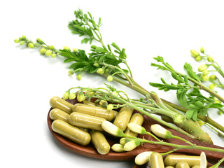 Moringa capsules on wooden spoons and flowers, leaves, isolated on a white background.