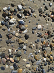 Wet different sea pebbles on the sandy beach