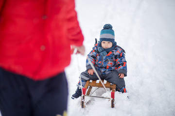 Fototapeta na wymiar Little boy on a sledge at winter day