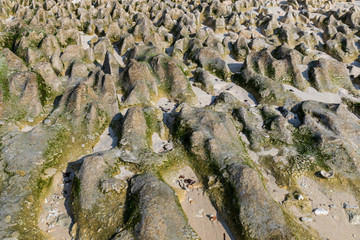 Rocks, on the beach at low tide, Nusa Lembongan, Bali, Indonesia. Green sea moss and seaweed cling to the rocks; scattered coral on the white sand. 