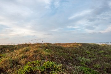 Fototapeta na wymiar Sunrise and sunset along the dunes of Mustang Island on the Texas Coast