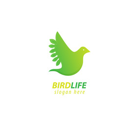 Bird design logo