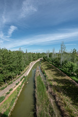 Fototapeta na wymiar View of the Parque de Cabecera