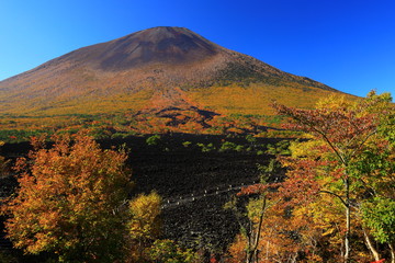 Obraz premium 岩手山と焼け走り溶岩流の紅葉