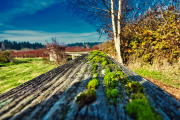 2019-07-12 Moss Growing on an Old Handrail