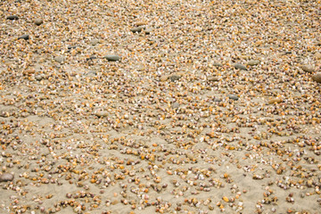 pebbles on the beach