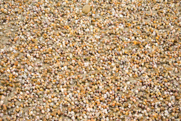 texture 