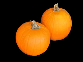 Two pumpkins isolated on black background
