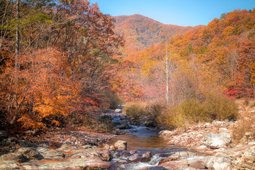 autumnal scenery of mountains stained with autumn foliage.