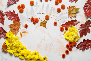 Composition with autumn flowers and leaves on white background