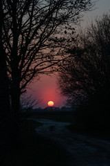 Naklejka premium moody round sunset