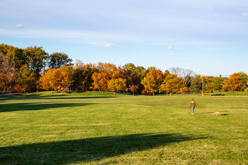 A Blond Woman Walking Her Dog in a Park With Beautiful Fall Colors