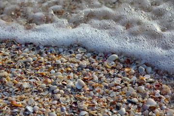 Waves on the Shore #1