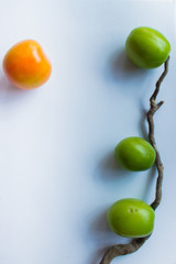 green tomatoes on a branch on a gray background. Yellow tomato on the table