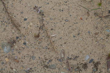 Background of sand with stones. Natural background for design.