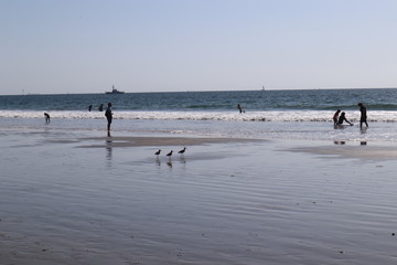 people figure on a quiet beach landscape 