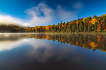 Autumn forest reflected in water.
