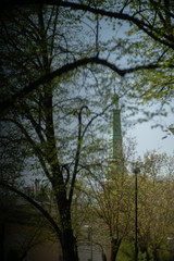 tower and green leafs in city