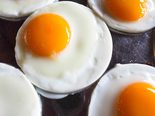  fried egg