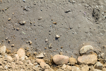 Clay texture with stones. bird footprints