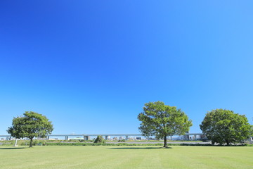 青空の河川敷と木