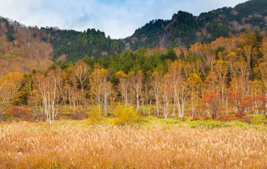 志賀高原田の原湿原紅葉