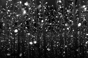 christmas holiday lights