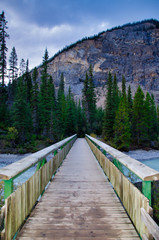 Fototapeta na wymiar Foot bridge to acces Takakkaw Falls in Banff National Park - Alberta