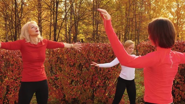 Sportive Middle Aged Women Exercising Together In Park. Flexible Women In Sportswear Training Together And Dancing In Beautiful Autumn Park